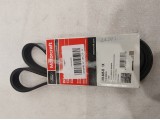 Serpentine Belt